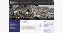 Desktop Screenshot of mefgl.bangor.ac.uk